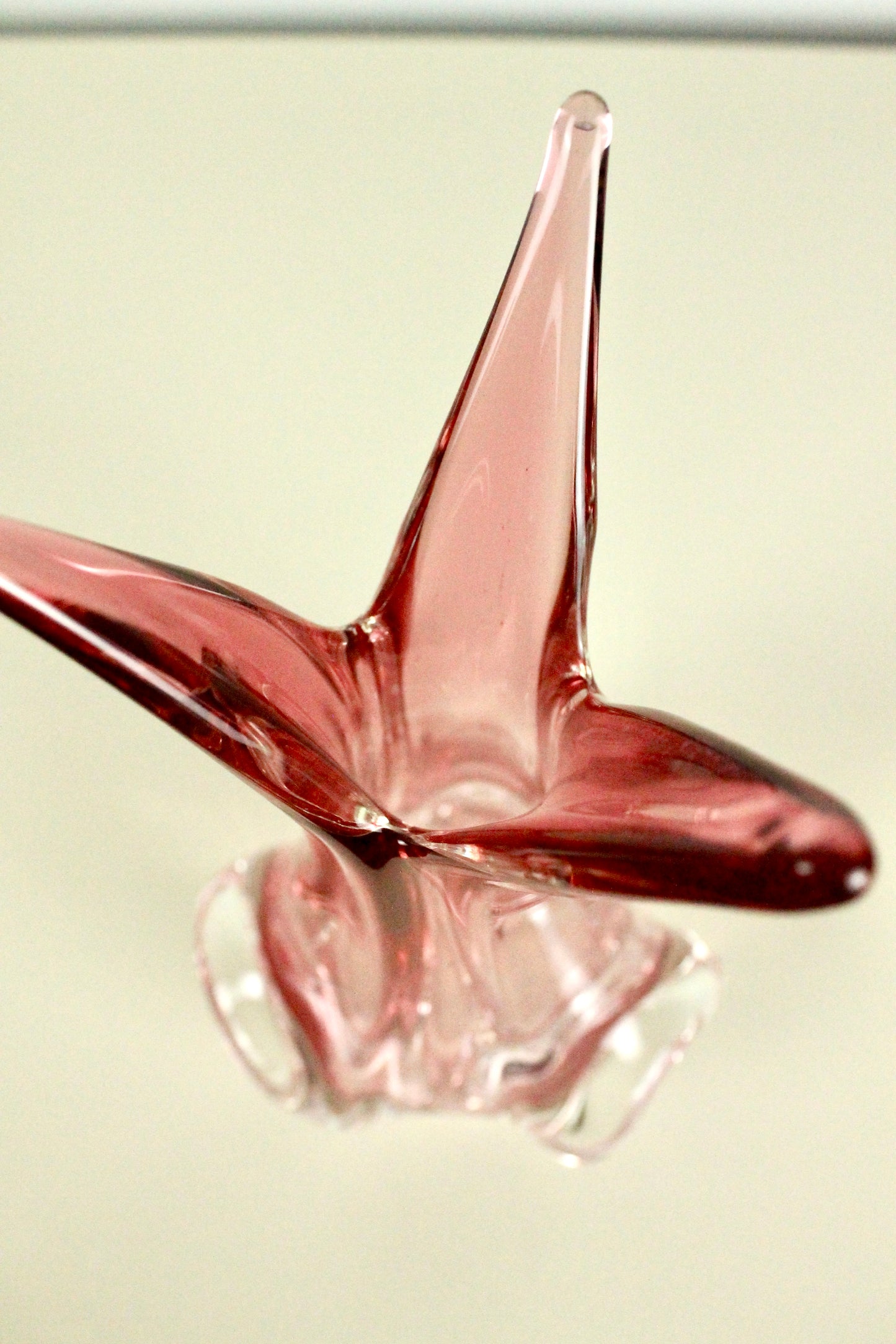 Pinky Starburst Vase